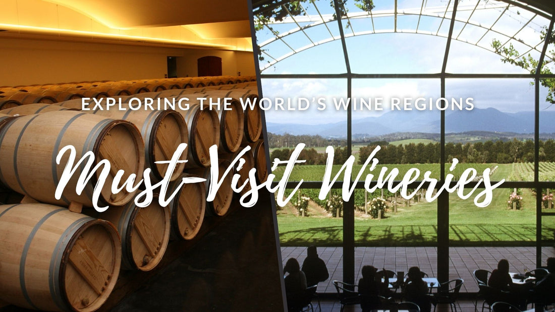 Exploring the Best Wine Regions