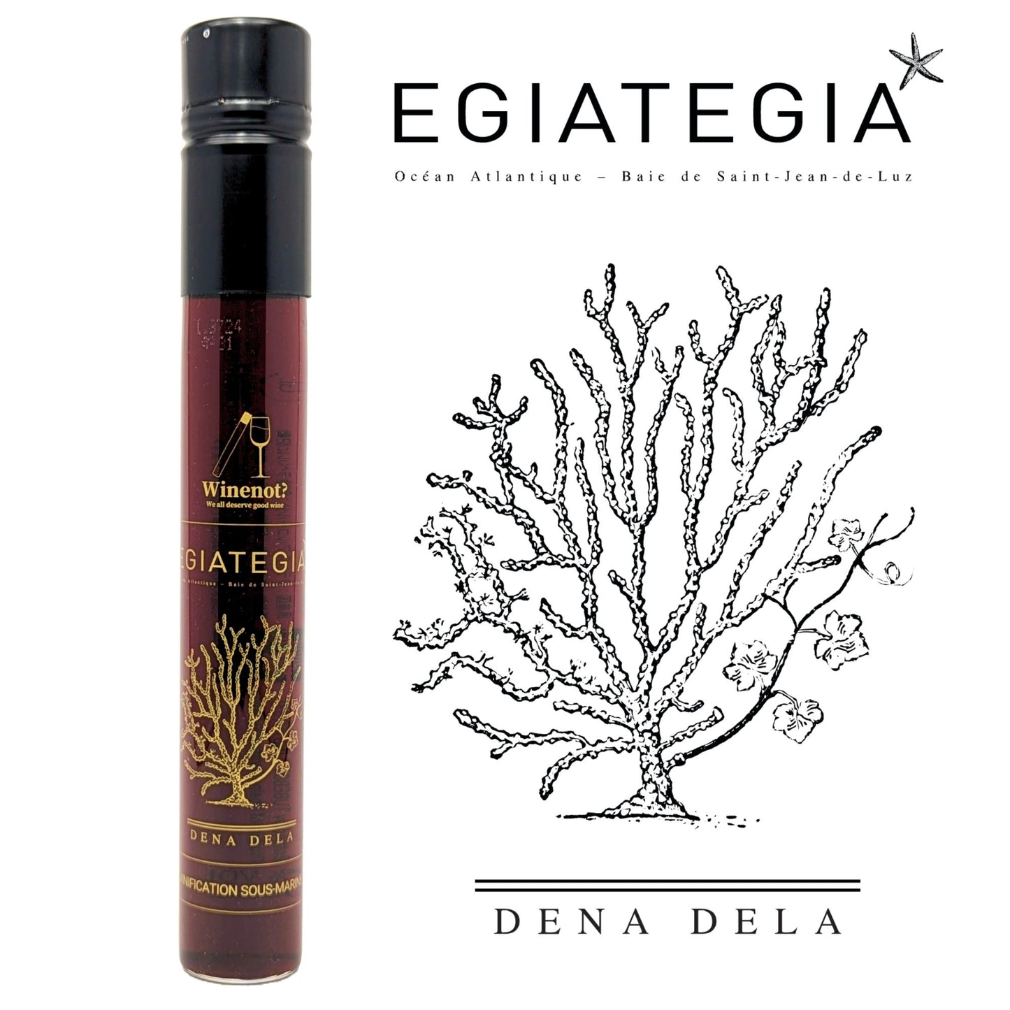 Egiategia 100ml winenot?